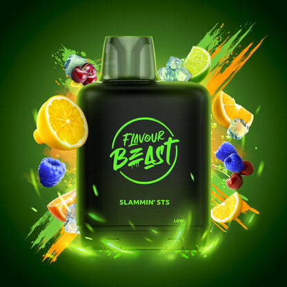LEVEL X FLAVOUR BEAST BOOTS